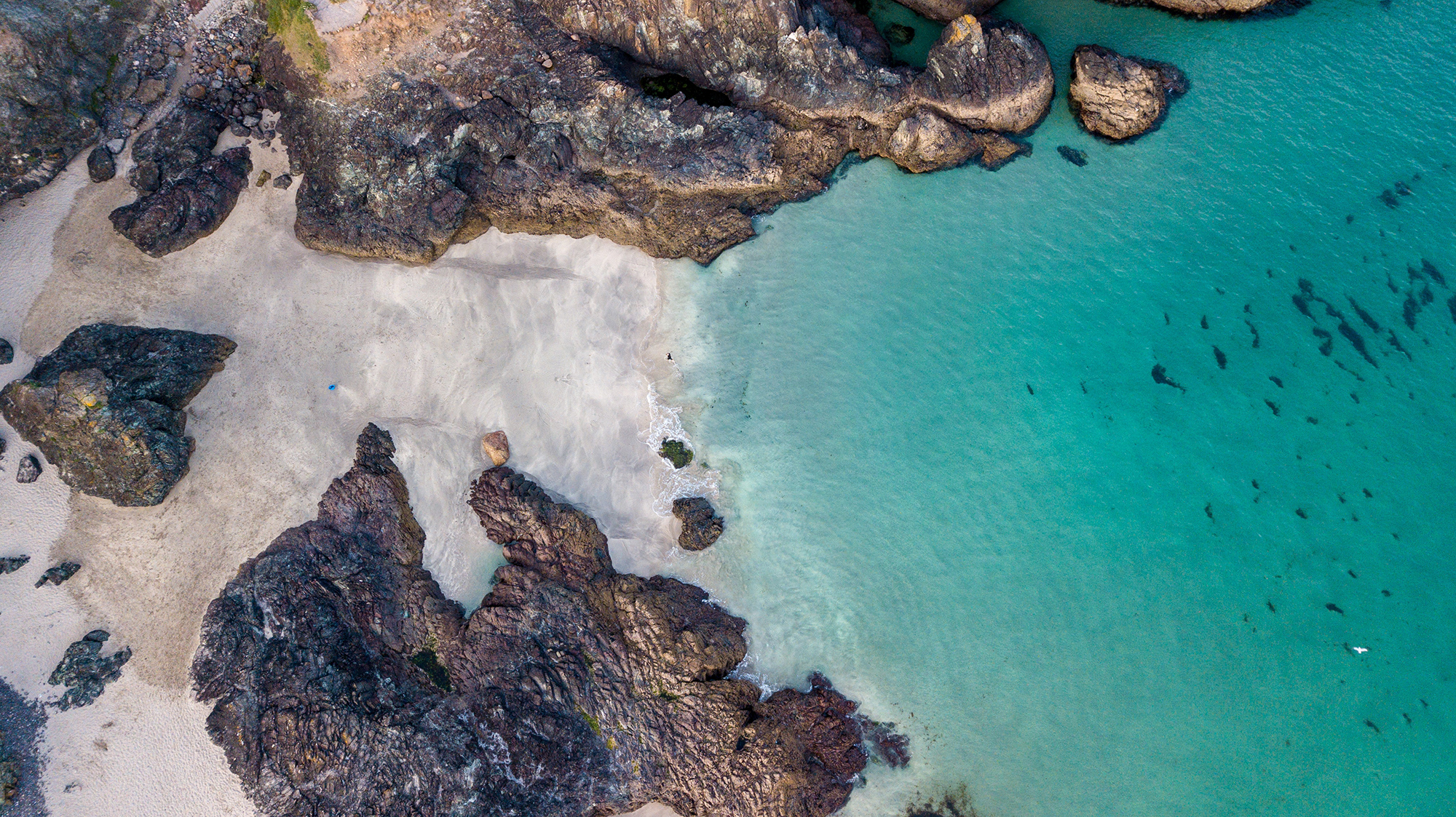 Marine Conservation Talks | Sandy Acres